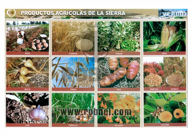 Productos Agricolas De La Sierra Peruana